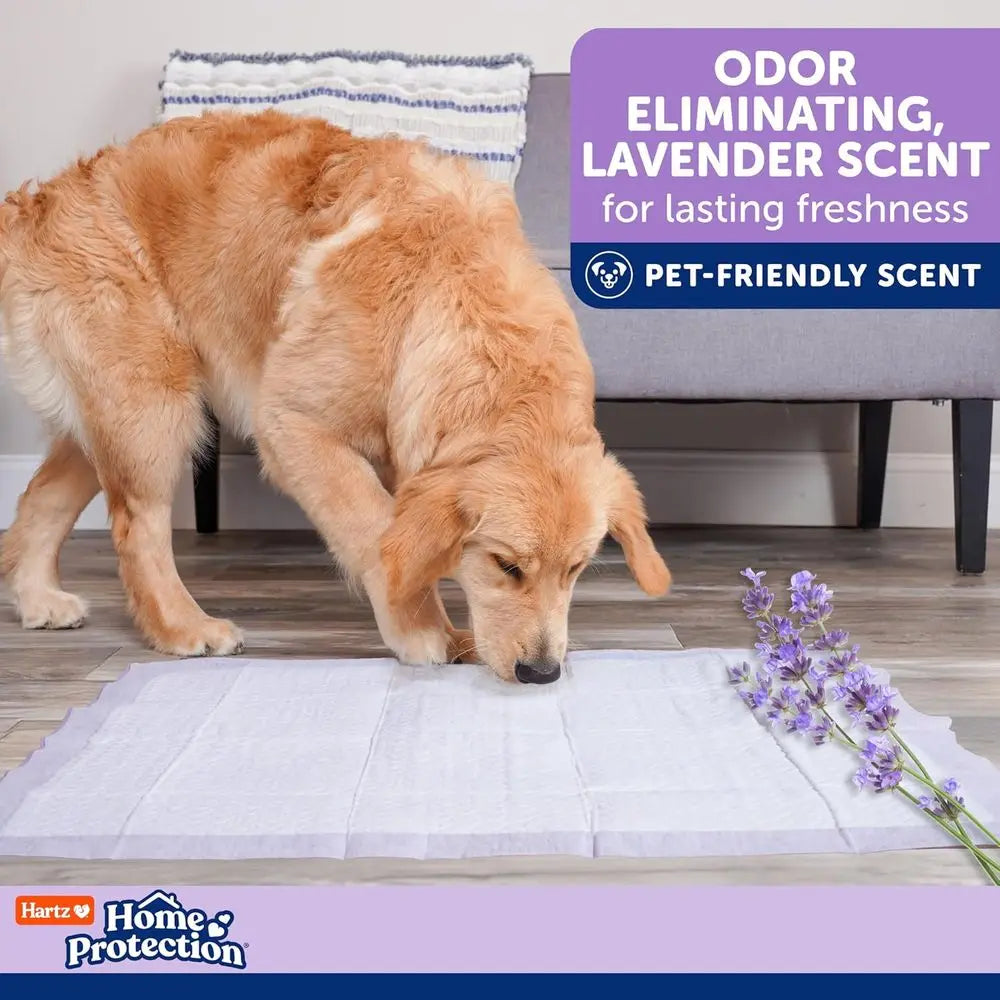 Lavender Odor Eliminating No Leak Dog Pads 50 Count