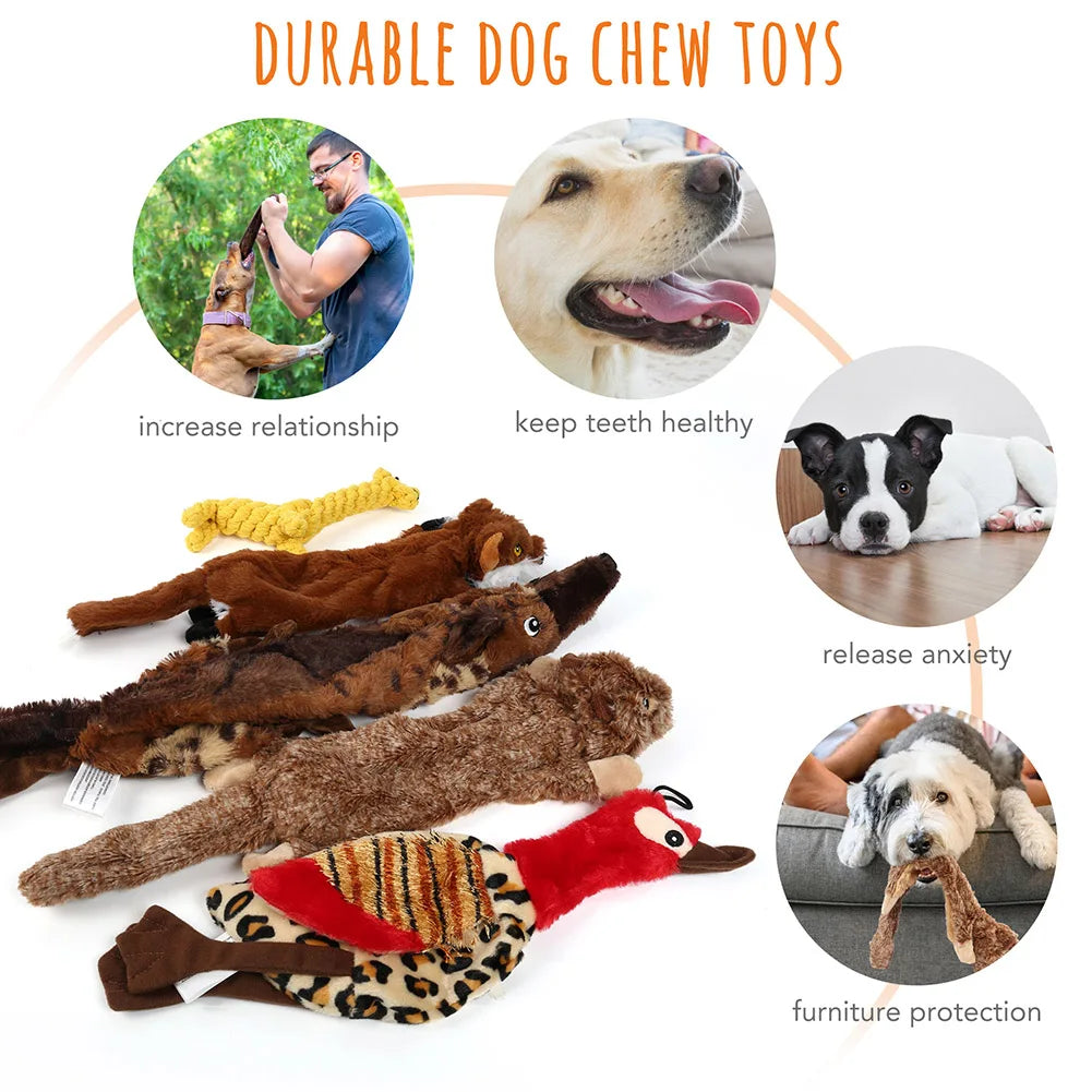 5 Pack Crinkle Squeaky No Stuffing Durable Plush Dog Toys