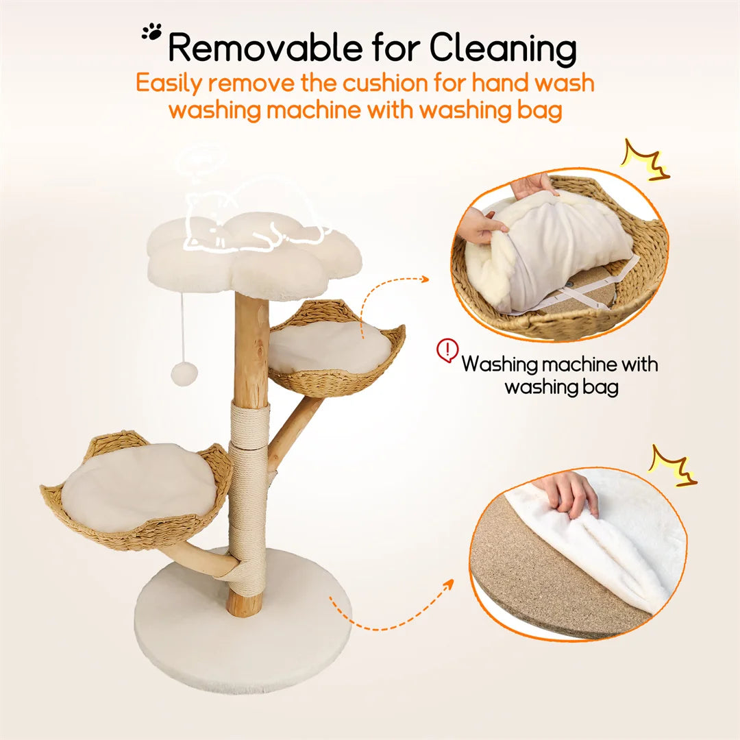 BINGOPAW Solid Wood Cat Climbing Tree With Sisal Rope