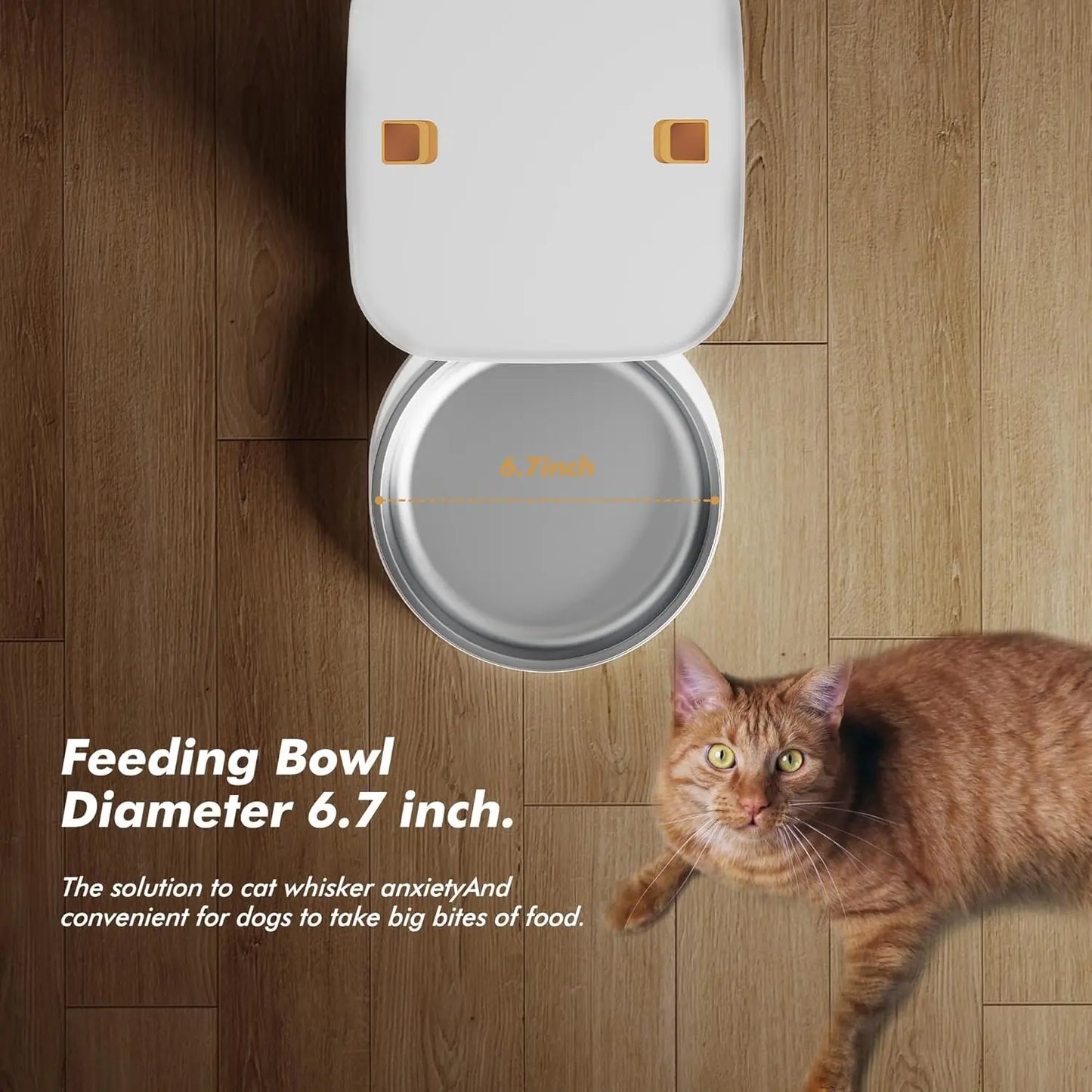 Nityers Automatic Cat Feeder With Voice Recorder And Key Control