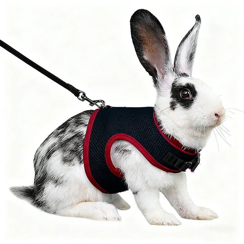Summer Pet Harness Leash For Small Animals Breathable Mesh
