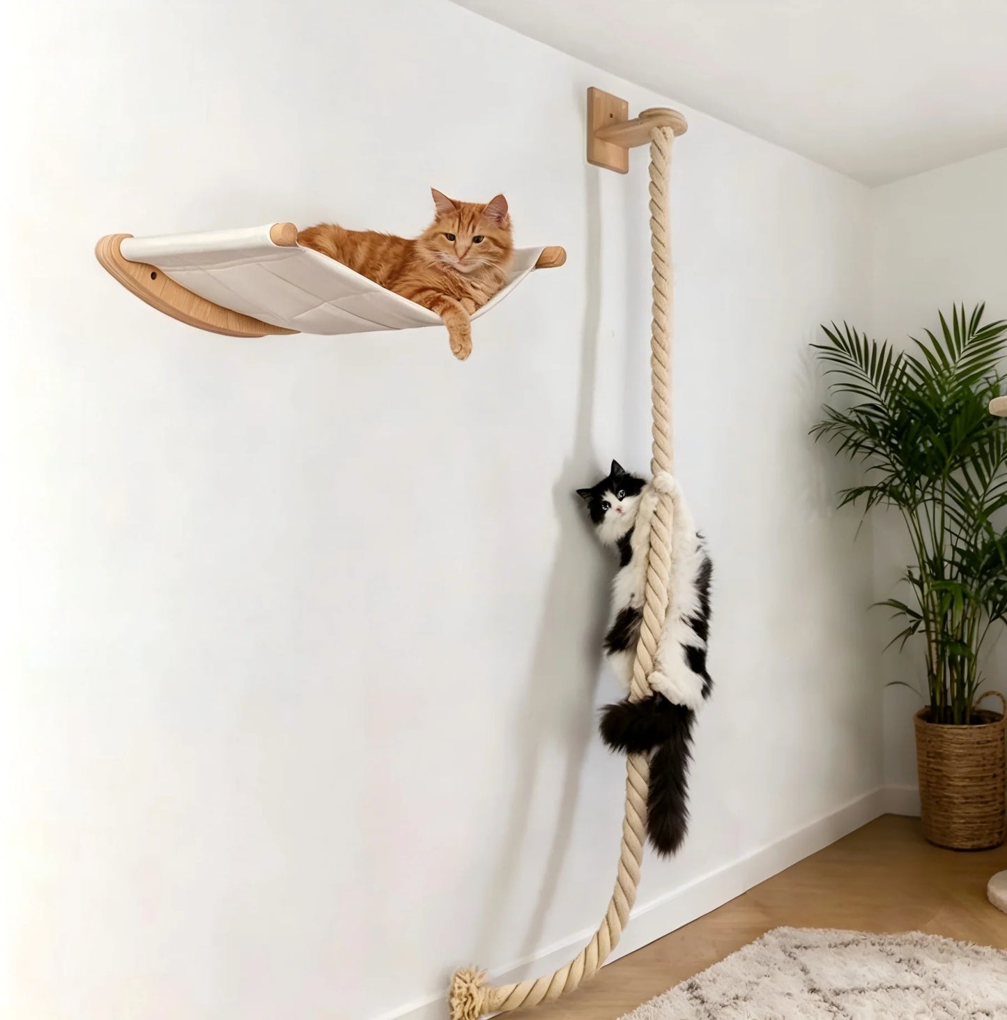 CWV Wall Mounted Cat Hammock With Premium Sisal Scratcher