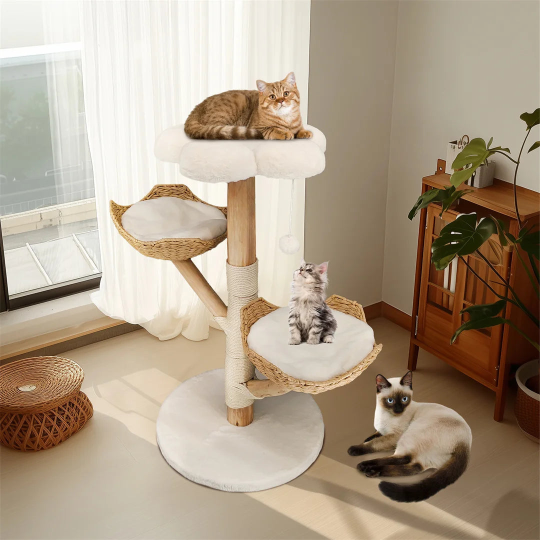 BINGOPAW Solid Wood Cat Climbing Tree With Sisal Rope