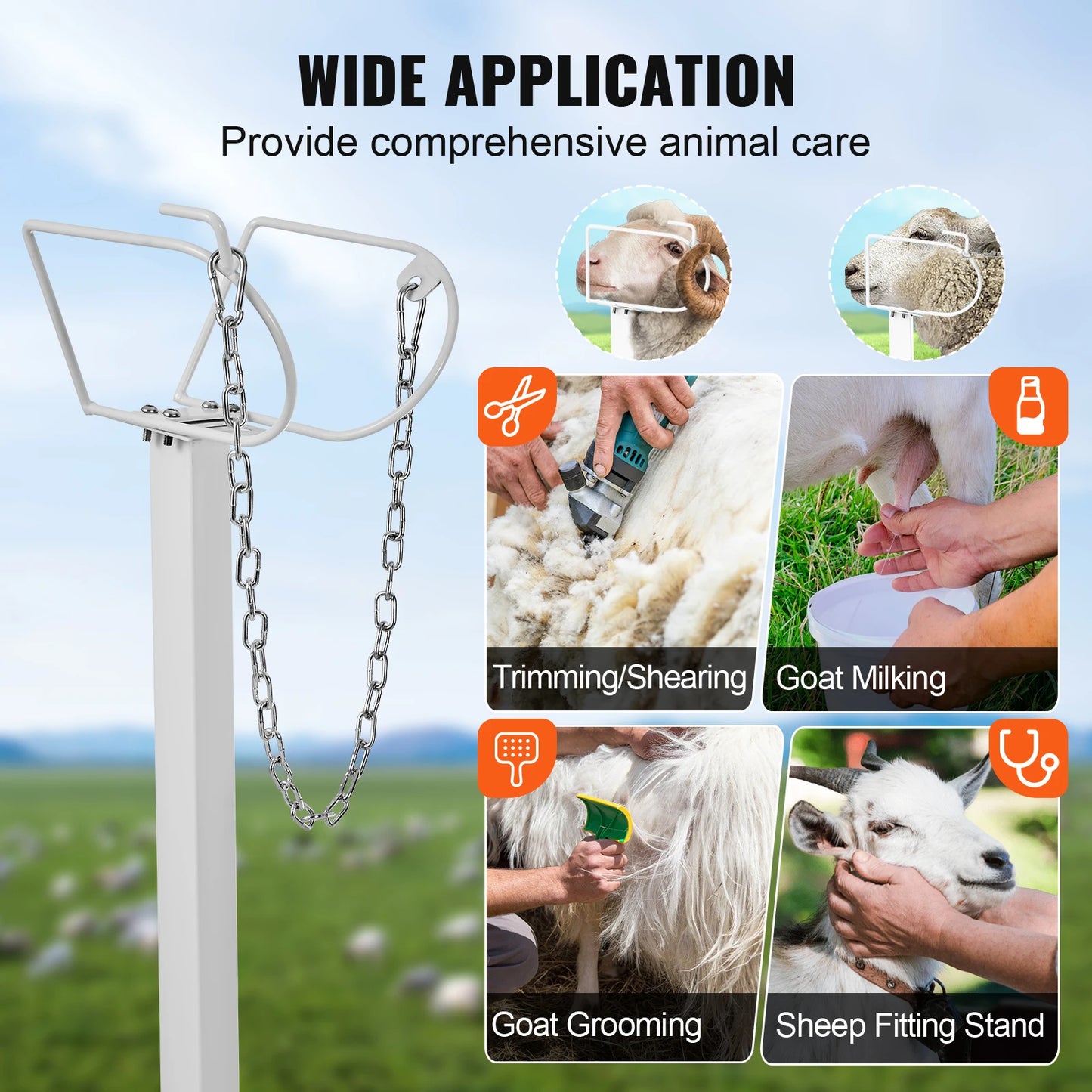 SucceBuy Goat Sheep Milking and Shearing Stand Adjustable Height