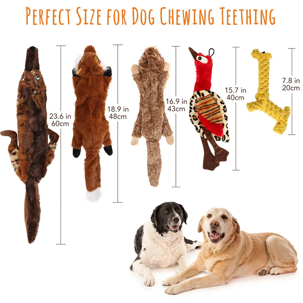 5 Pack Crinkle Squeaky No Stuffing Durable Plush Dog Toys