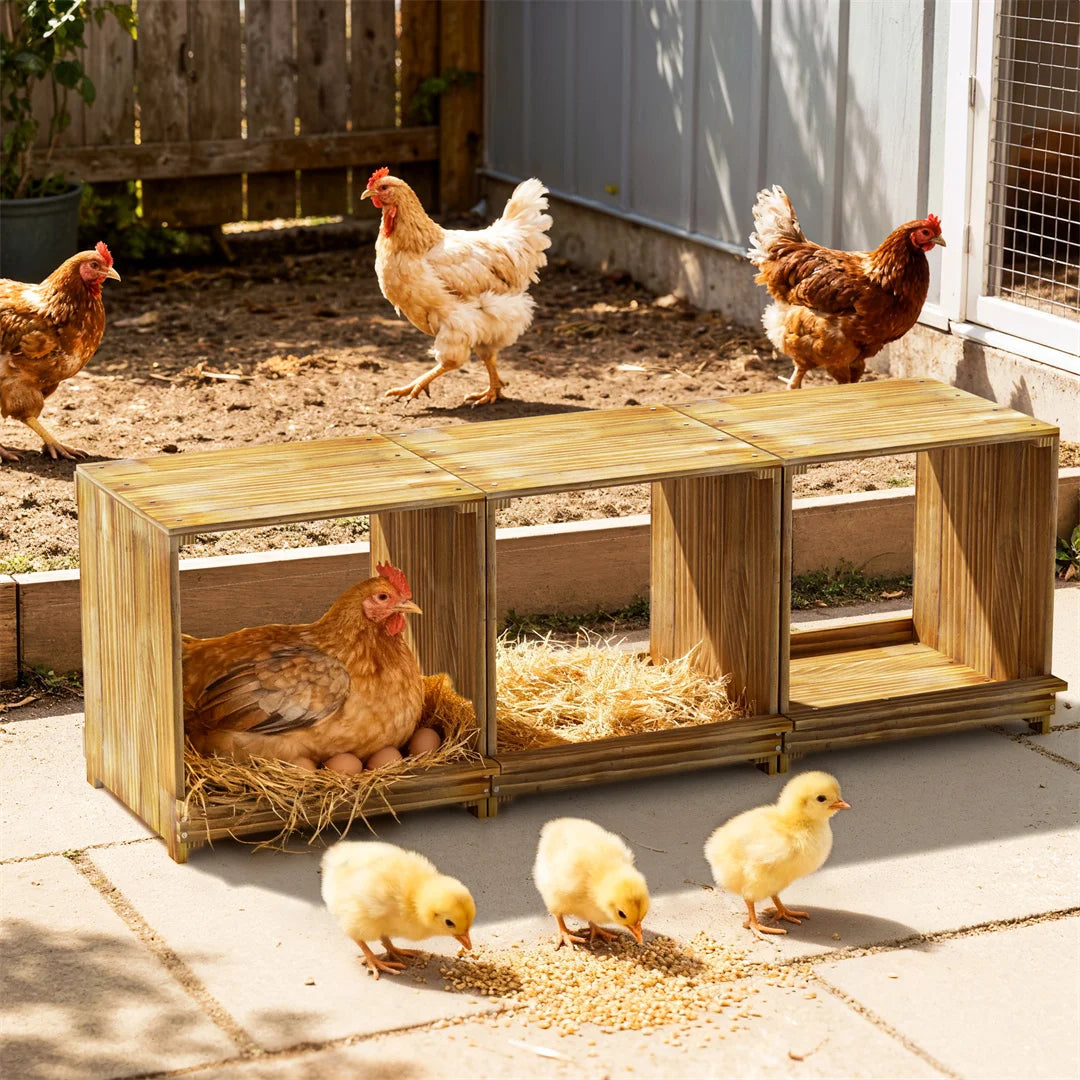 BINGOPAW Three Compartment Pine Wood Chicken Nesting Box