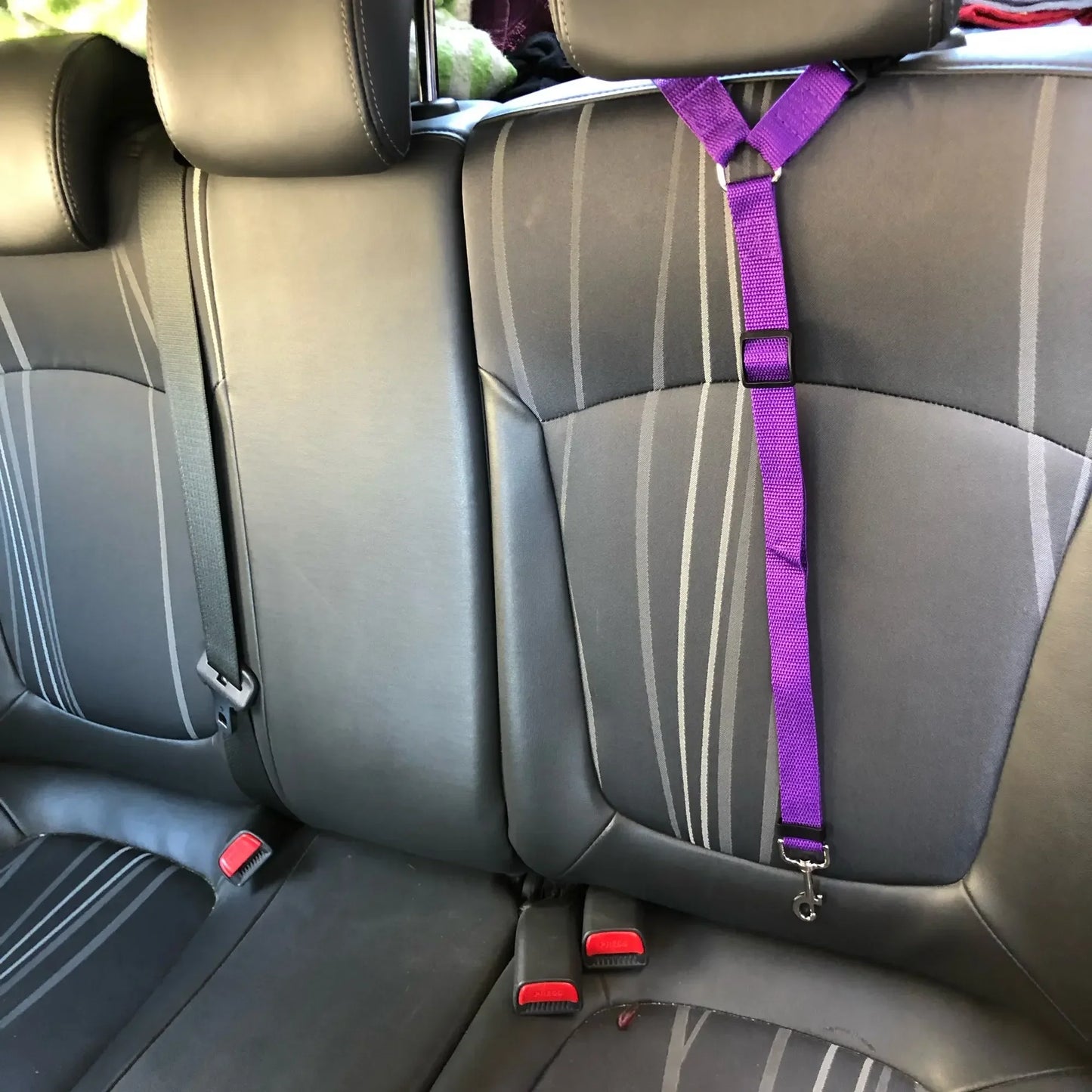 Two-In-One Pet Car Seat Belt Nylon Lead For Dogs Backseat