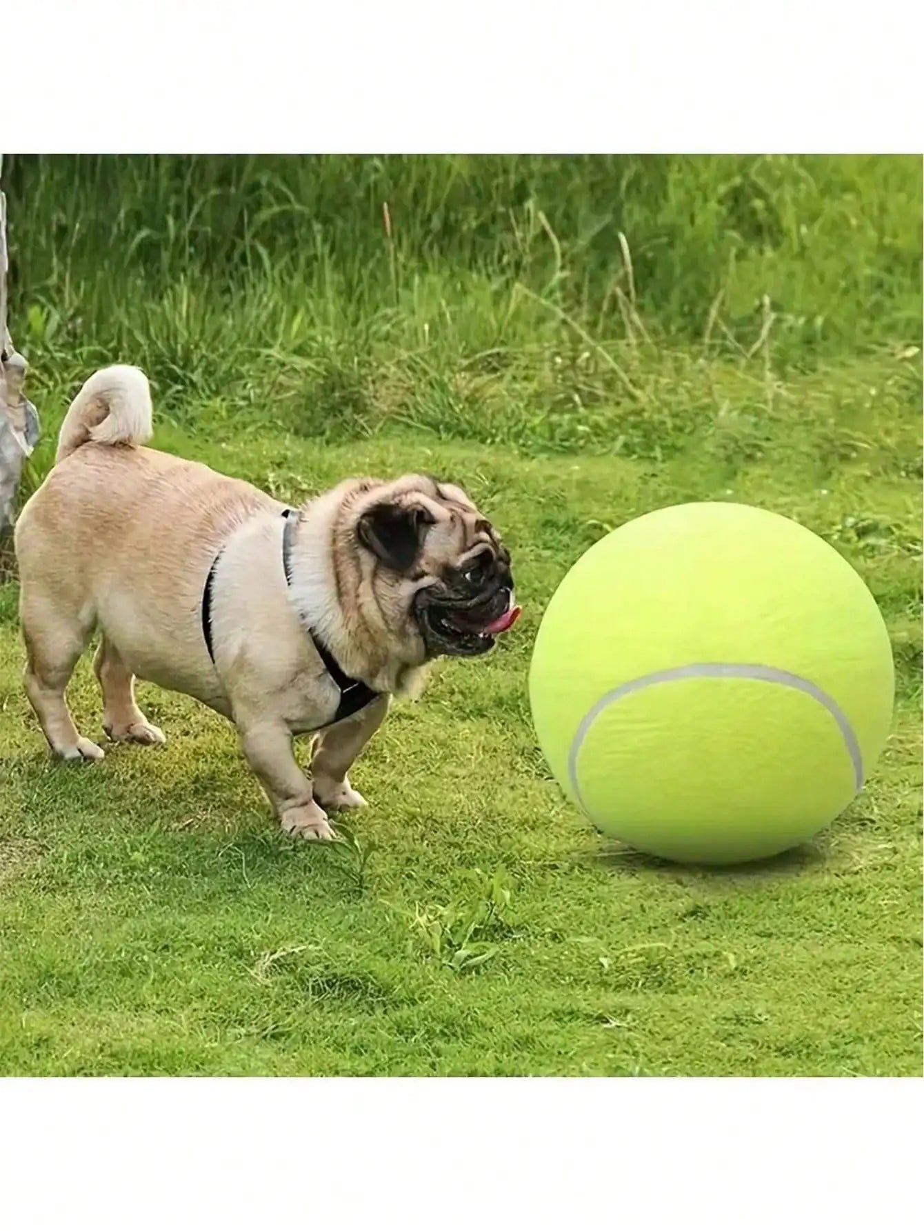 Pet Tennis Ball Thrower For Training Interactive Dog Toys