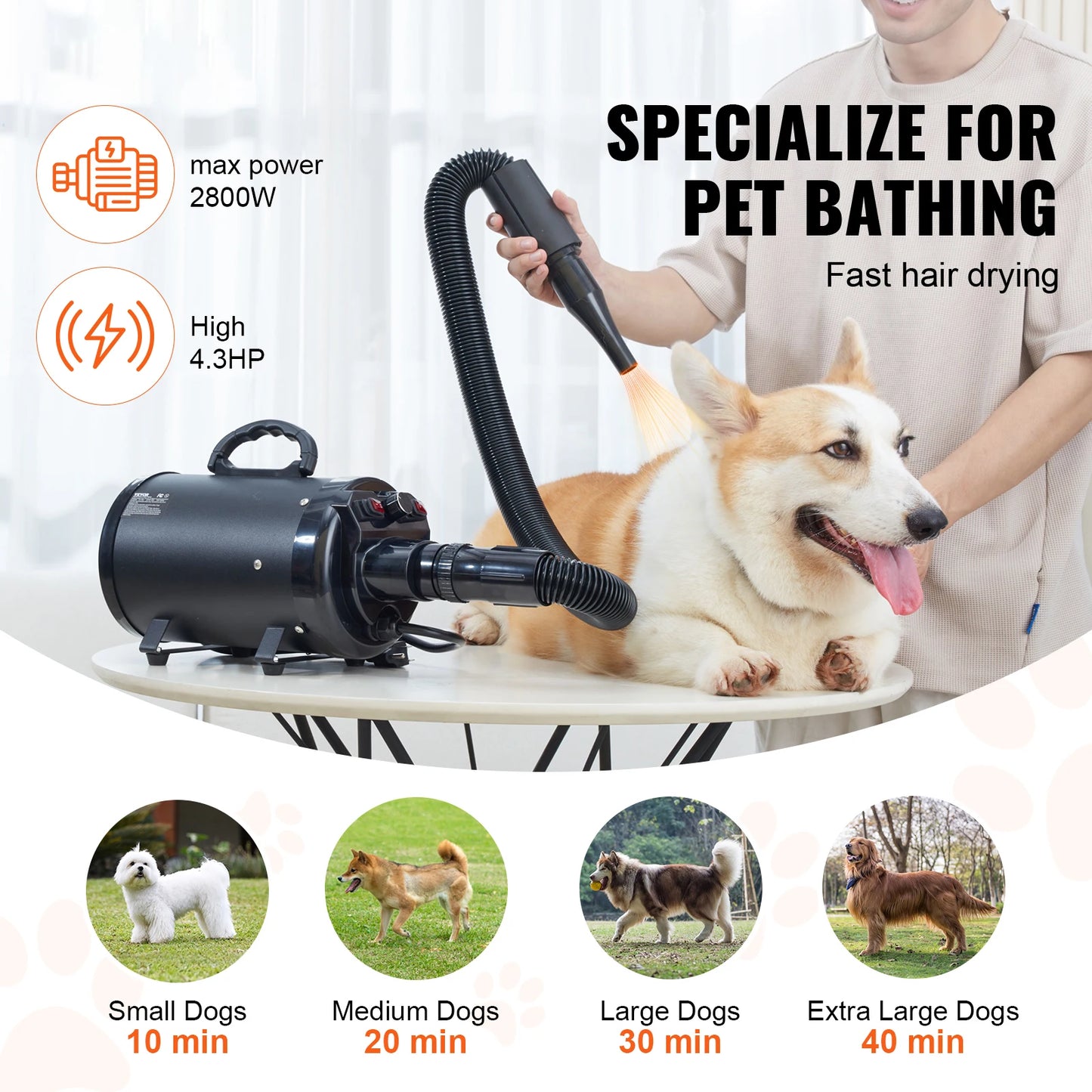 SucceBuy Dog Blow Dryer With Adjustable Temperature And 4 Nozzles