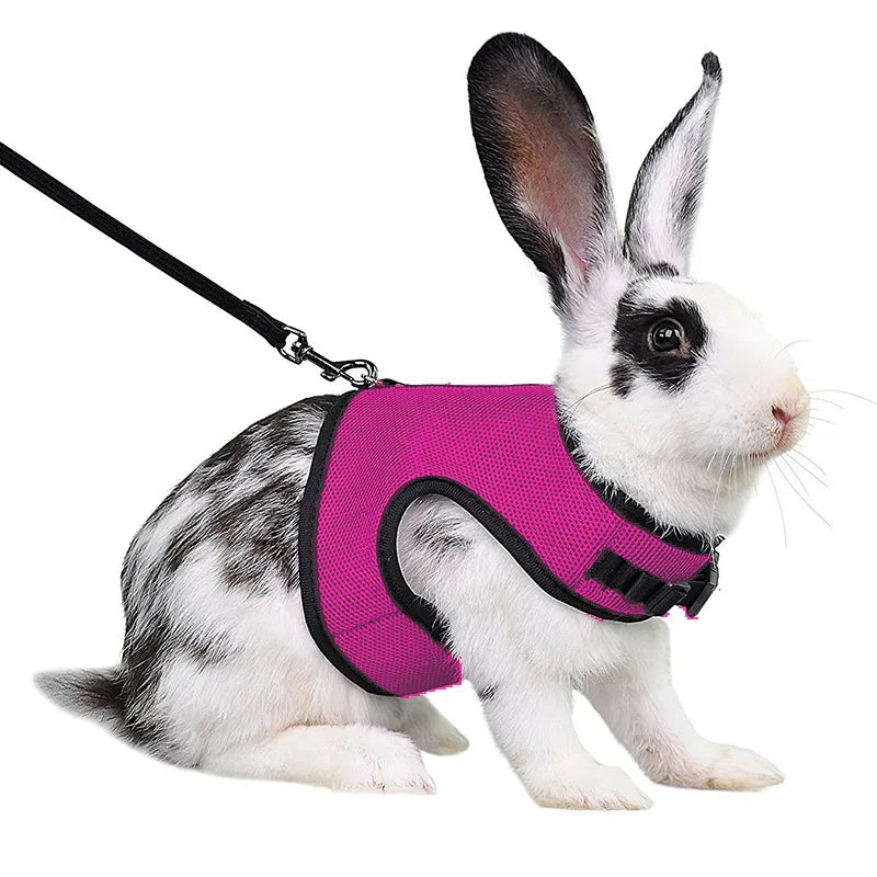 Summer Pet Harness Leash For Small Animals Breathable Mesh