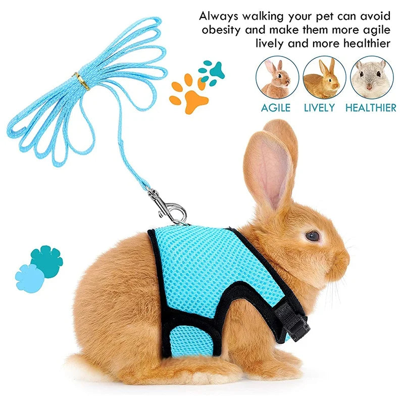 Summer Pet Harness Leash For Small Animals Breathable Mesh