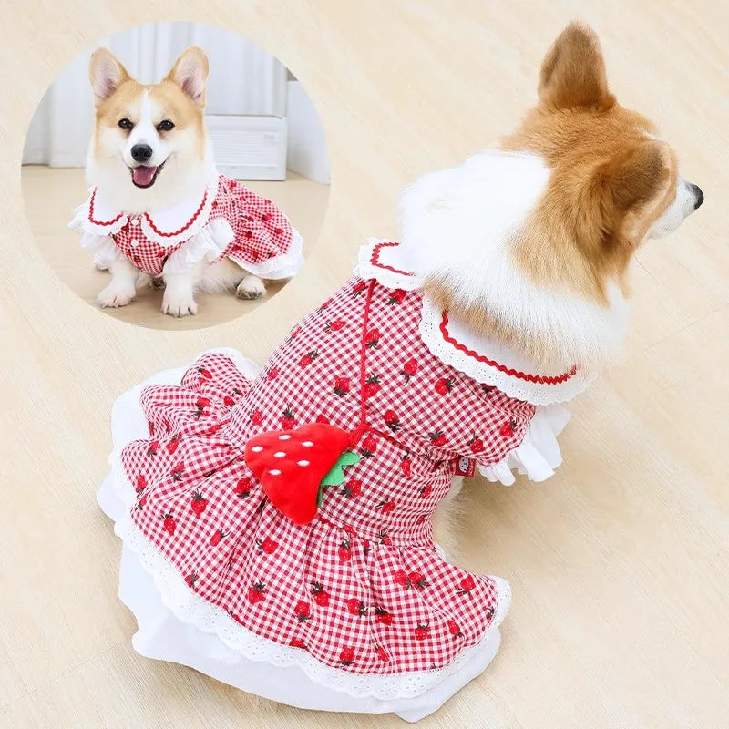 Strawberry Dress For Dogs Cute Summer Pet Apparel Collection
