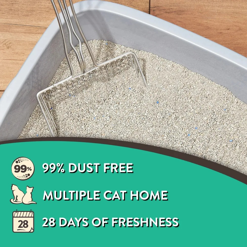Special Kitty Clumping Cat Litter Fresh Scent Scooopable