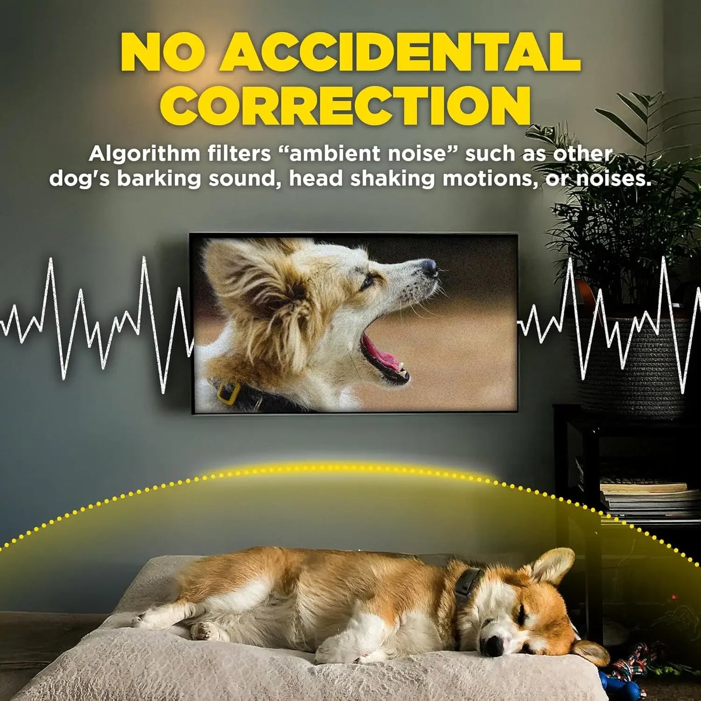 Smart Bark Detector For Dogs With App Notifications