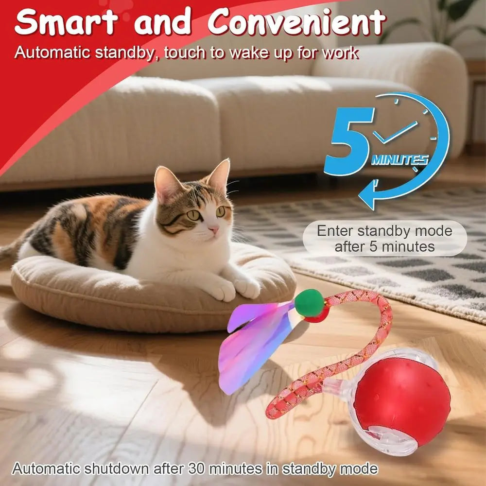 Two RaTails Interactive Cat Ball Toy With 360 Rolling Action