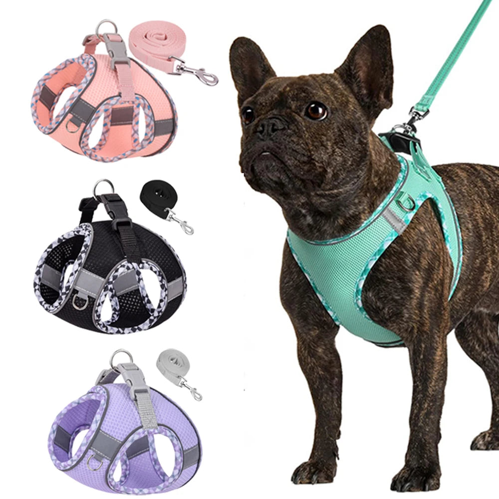 XLeiPet Mesh Breathable Vest Harness for Small Dogs and Cats