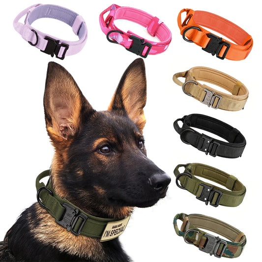 Adjustable Tactical Dog Training Collar And Leash Set Quick Release