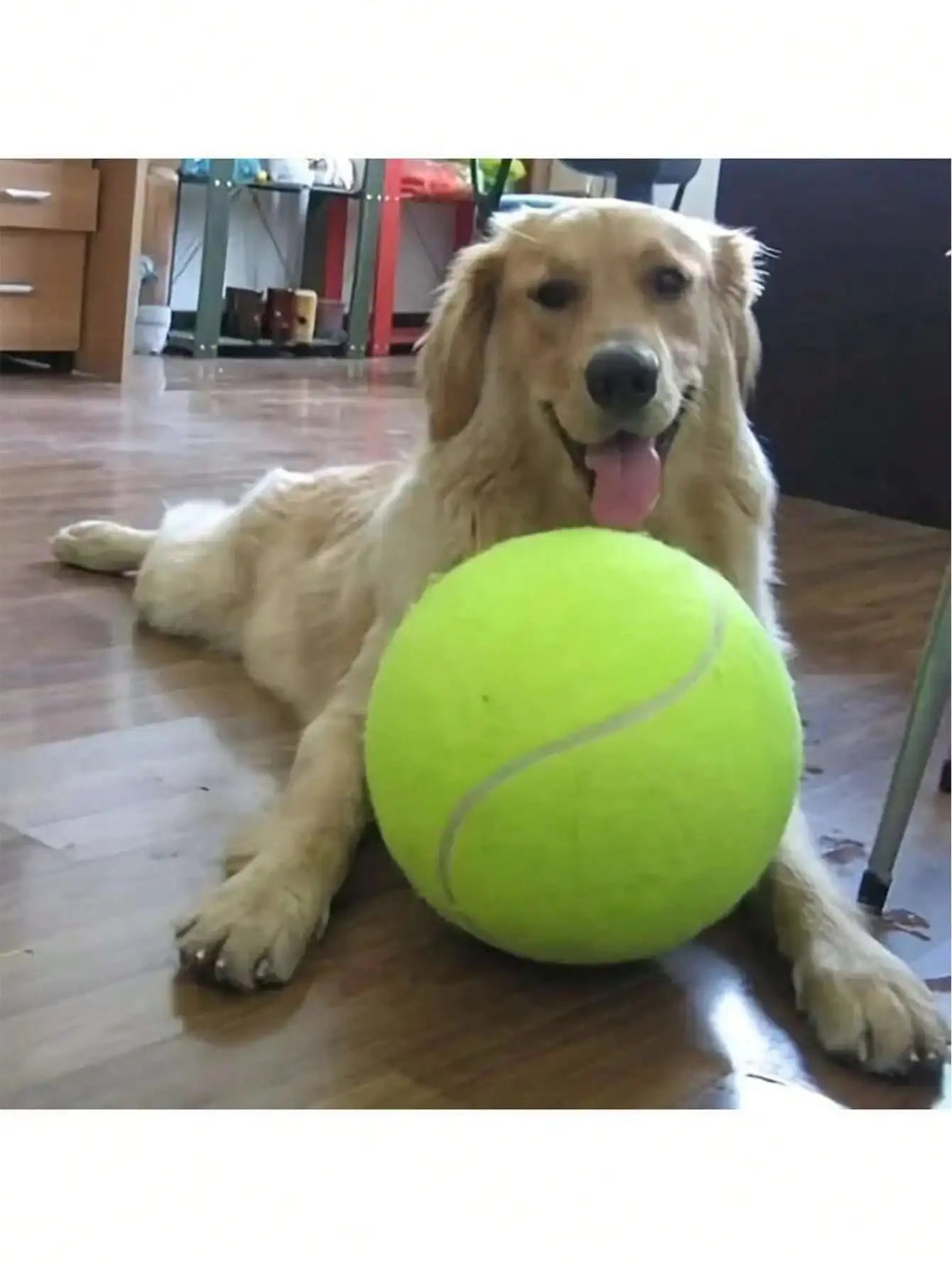 Pet Tennis Ball Thrower For Training Interactive Dog Toys