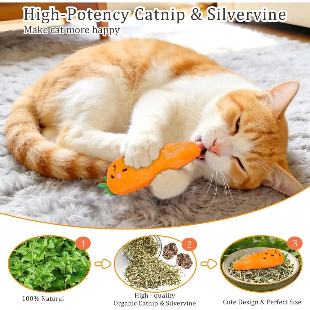 Catnip Plush Cat Toys 5 Pack Natural Silvervine Indoor Cats