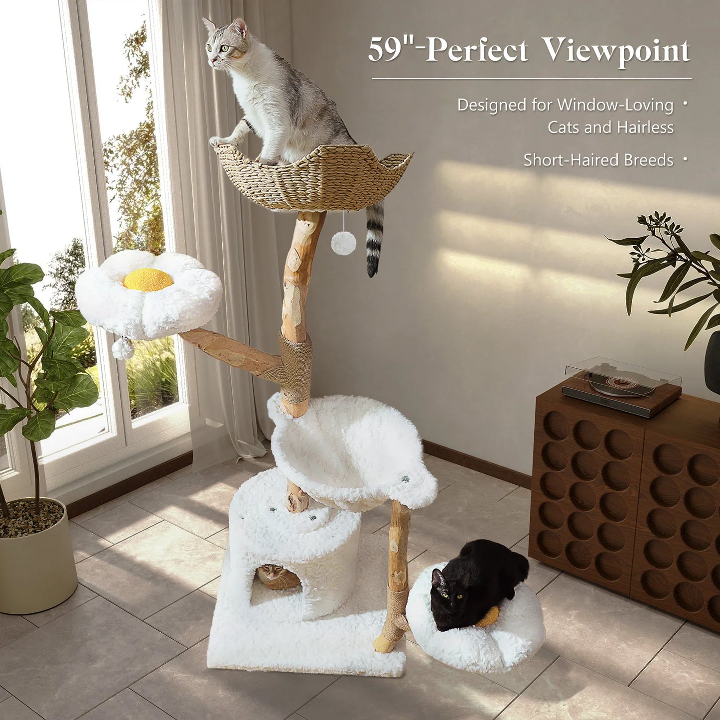 PEQULTI CN Solid Wood Cat Tree Tower With Spacious Condo