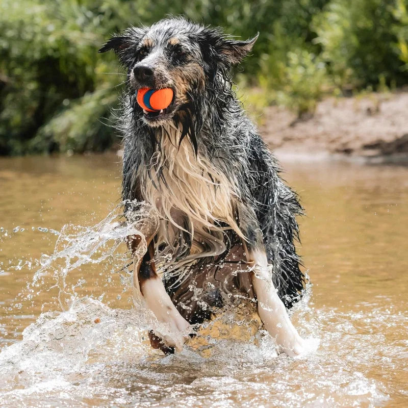 Ultra Ball Rubber Dog Toy Durable Bouncy Water Floater