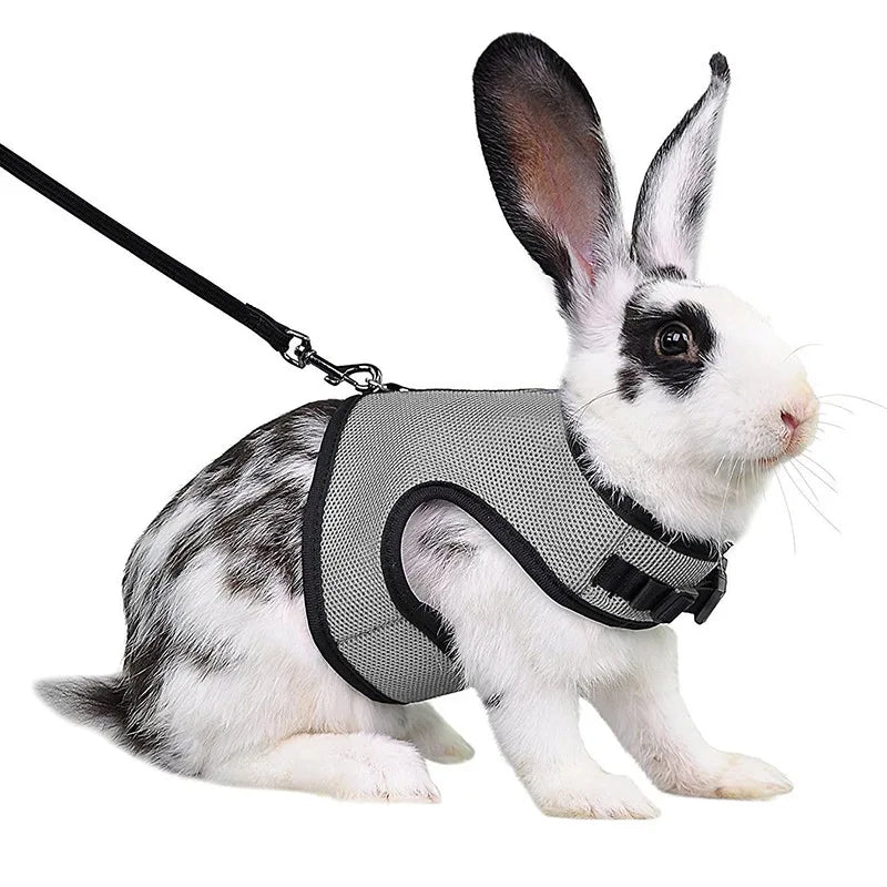 Summer Pet Harness Leash For Small Animals Breathable Mesh
