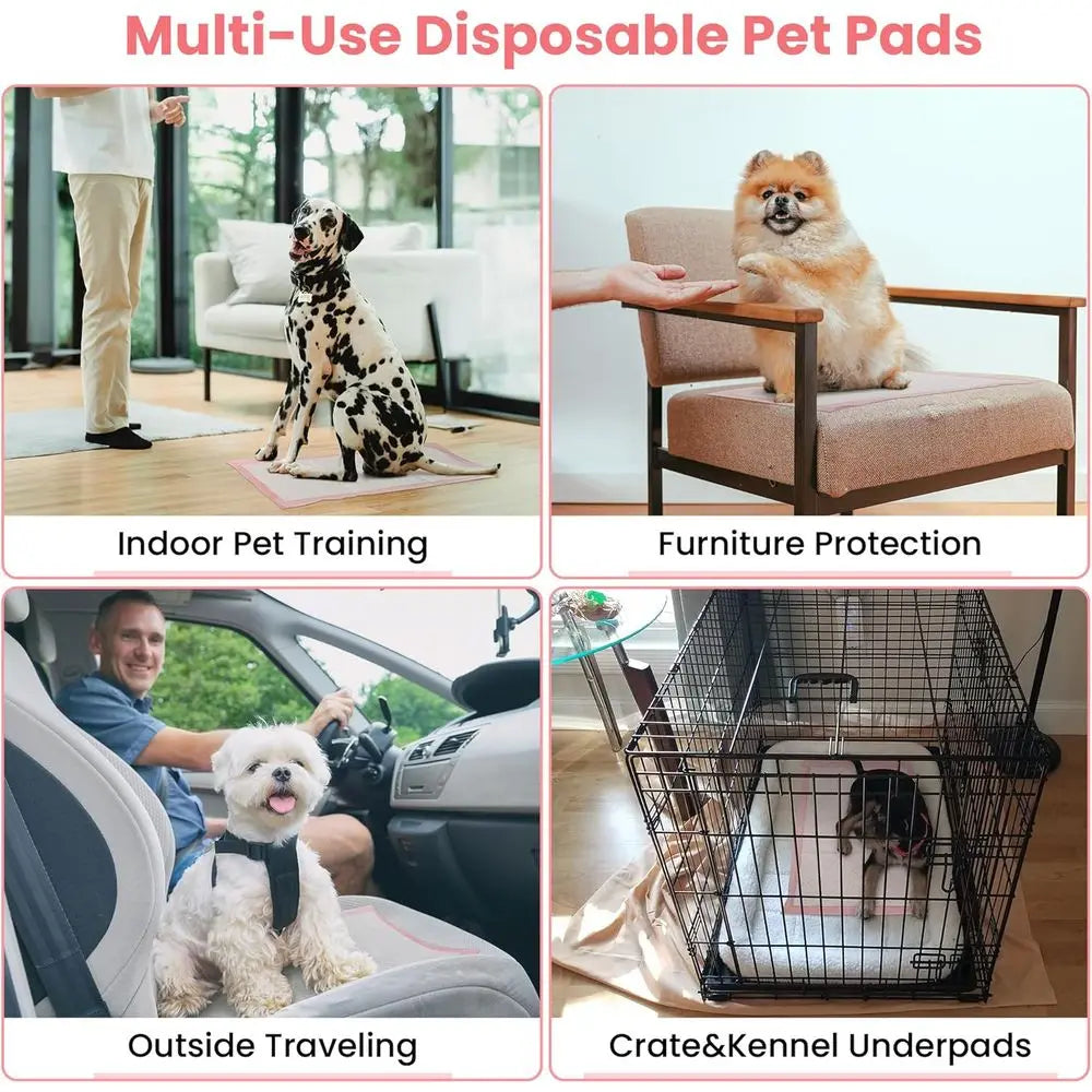 Pet Toilet Training Pads 100 Count Disposable Absorbent Leak Proof