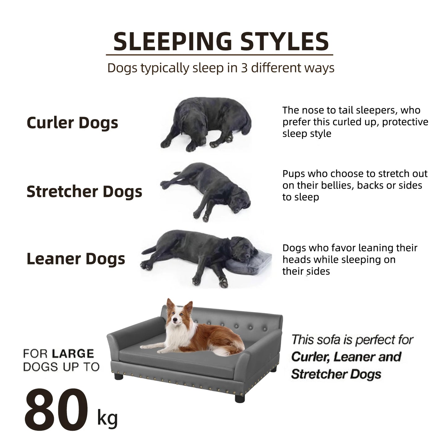 Bingopaw Elevated Dog Sofa With Removable Comfort Cushion