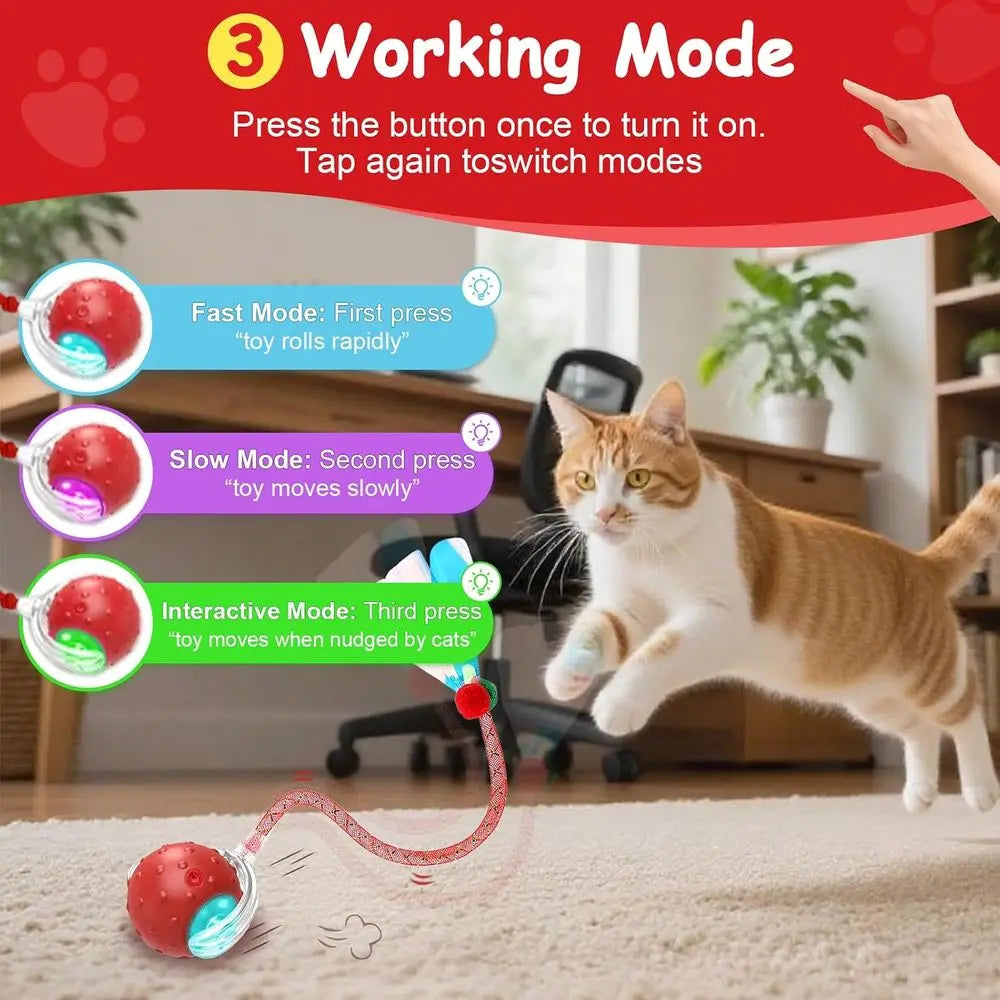 Two RaTails Interactive Cat Ball Toy With 360 Rolling Action