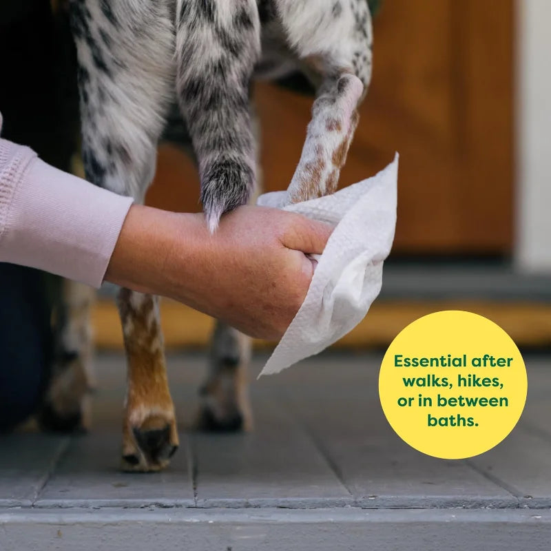 Pet Wipes For Dogs And Cats Hypoallergenic Cleaning Hydrating Unscented