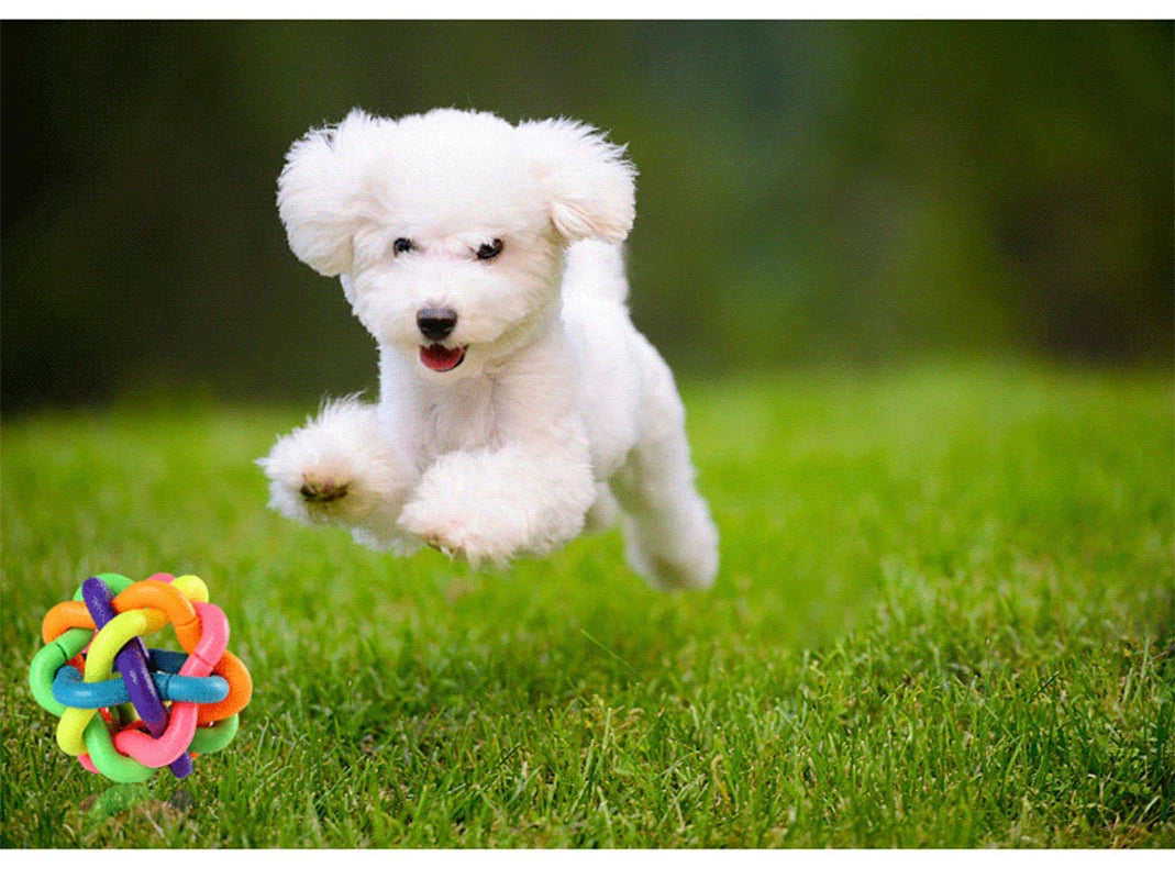 Colorful Bell Woven Dog Chew Toy Bite Resistant Rubber Pet