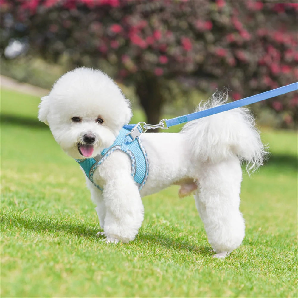 XLeiPet Mesh Breathable Vest Harness for Small Dogs and Cats