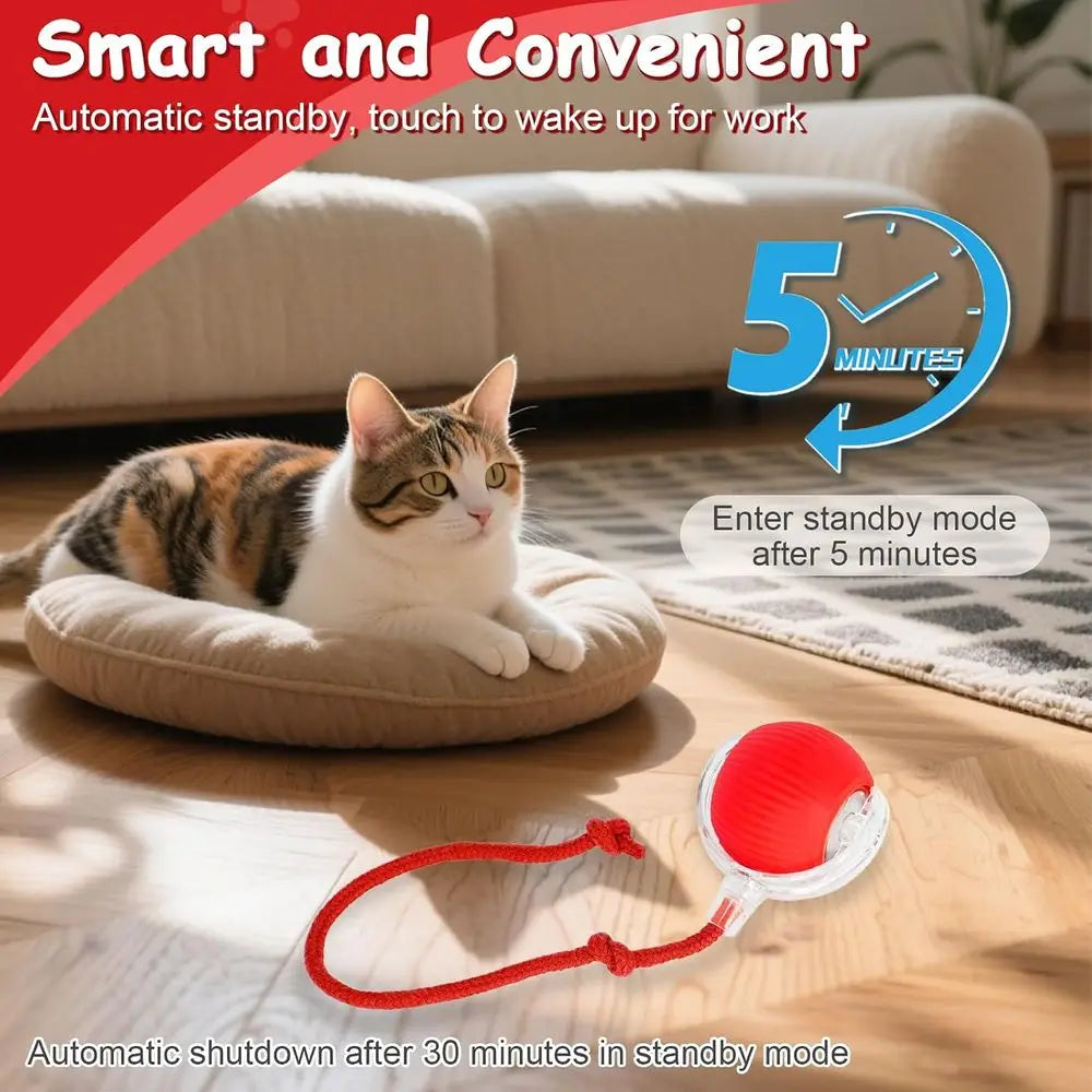 Interactive Cat And Dog Ball Toy 360 Rolling Indoor