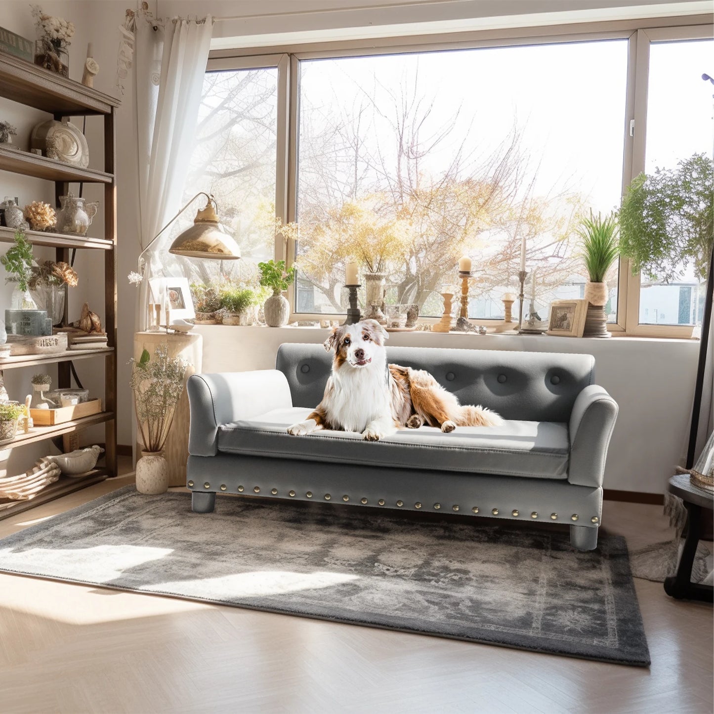 Bingopaw Elevated Dog Bed With Removable Waterproof Cushion