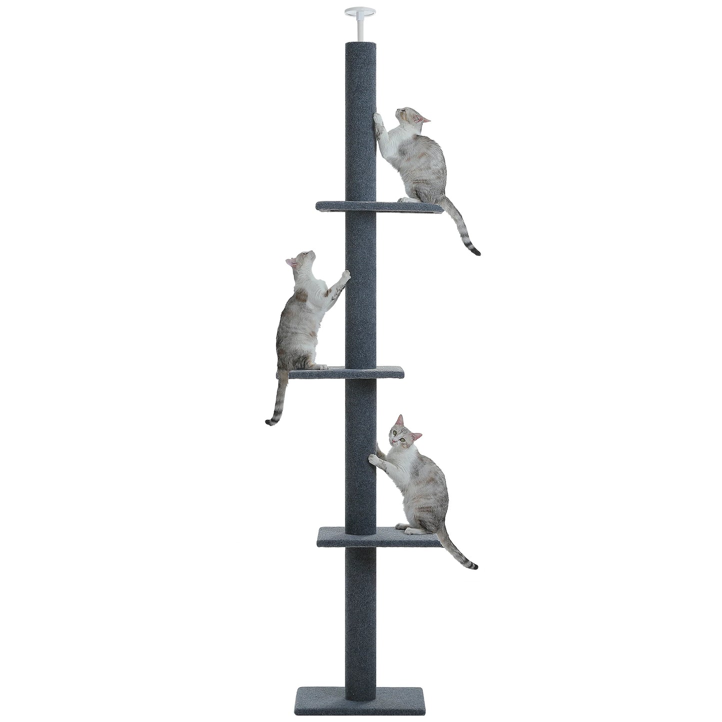 Pequlti Adjustable Height Cat Tree Indoor Tower With Scratching Posts