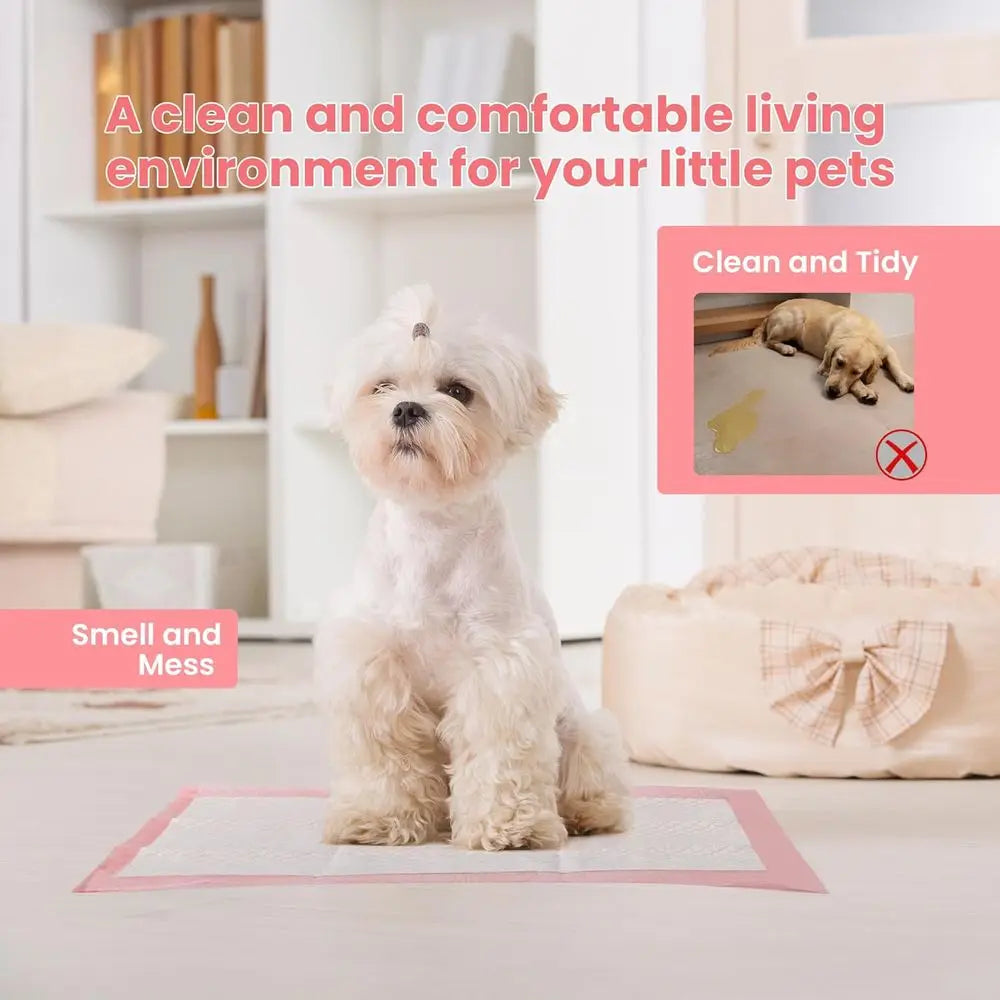 Pet Toilet Training Pads 100 Count Disposable Absorbent Leak Proof