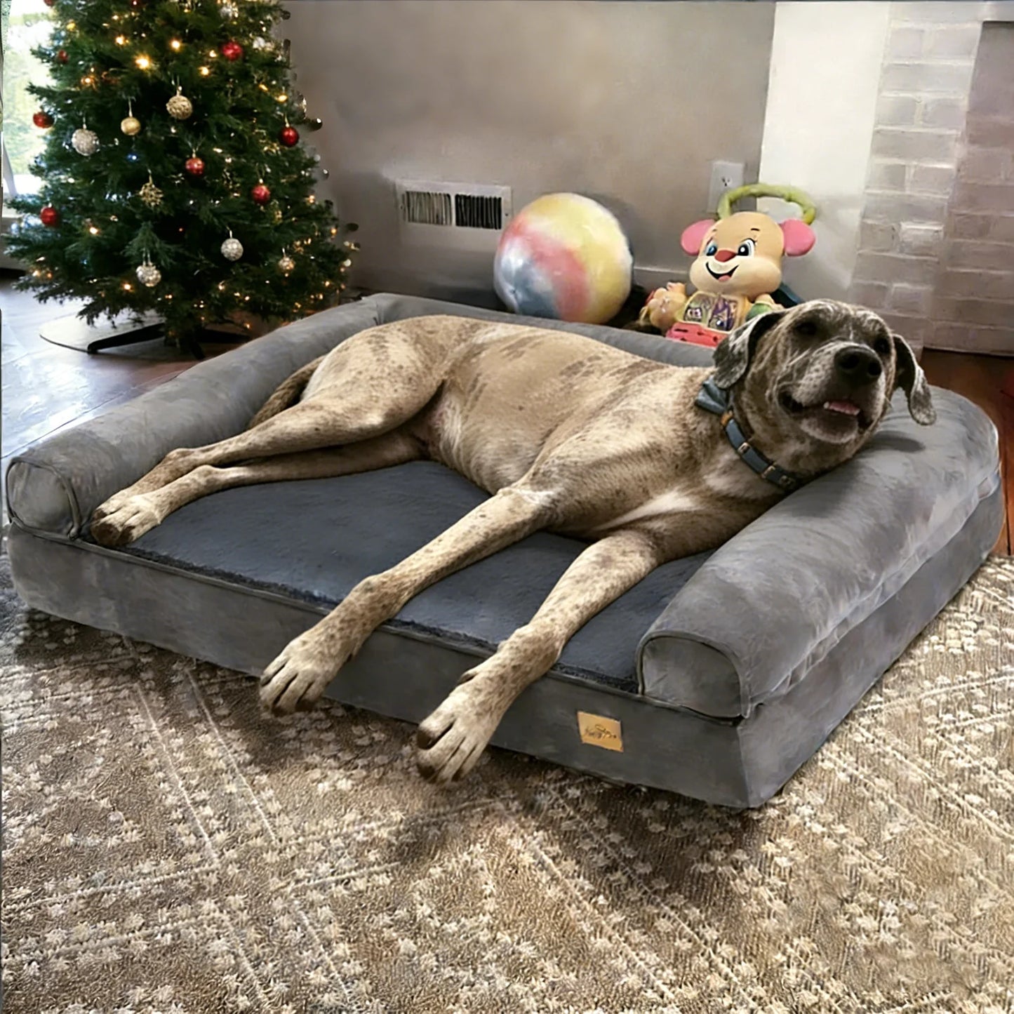 Borwart Orthopedic Memory Foam Dog Bed With Removable Cover