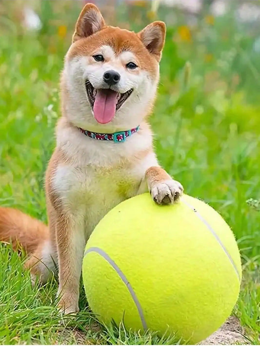 Pet Tennis Ball Thrower For Training Interactive Dog Toys