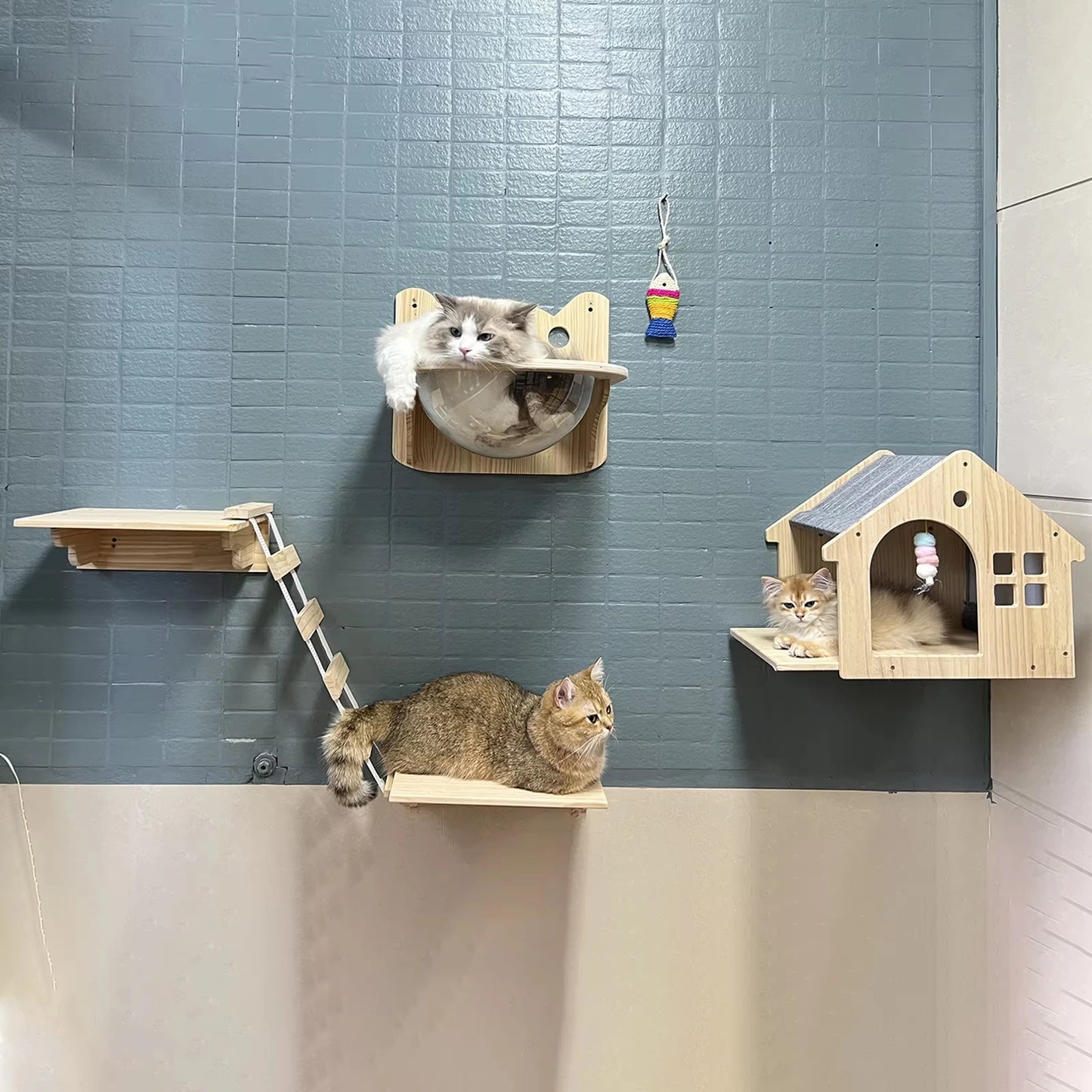 Wall Mounted Wooden Cat Villa Shelf Furniture For Sleeping
