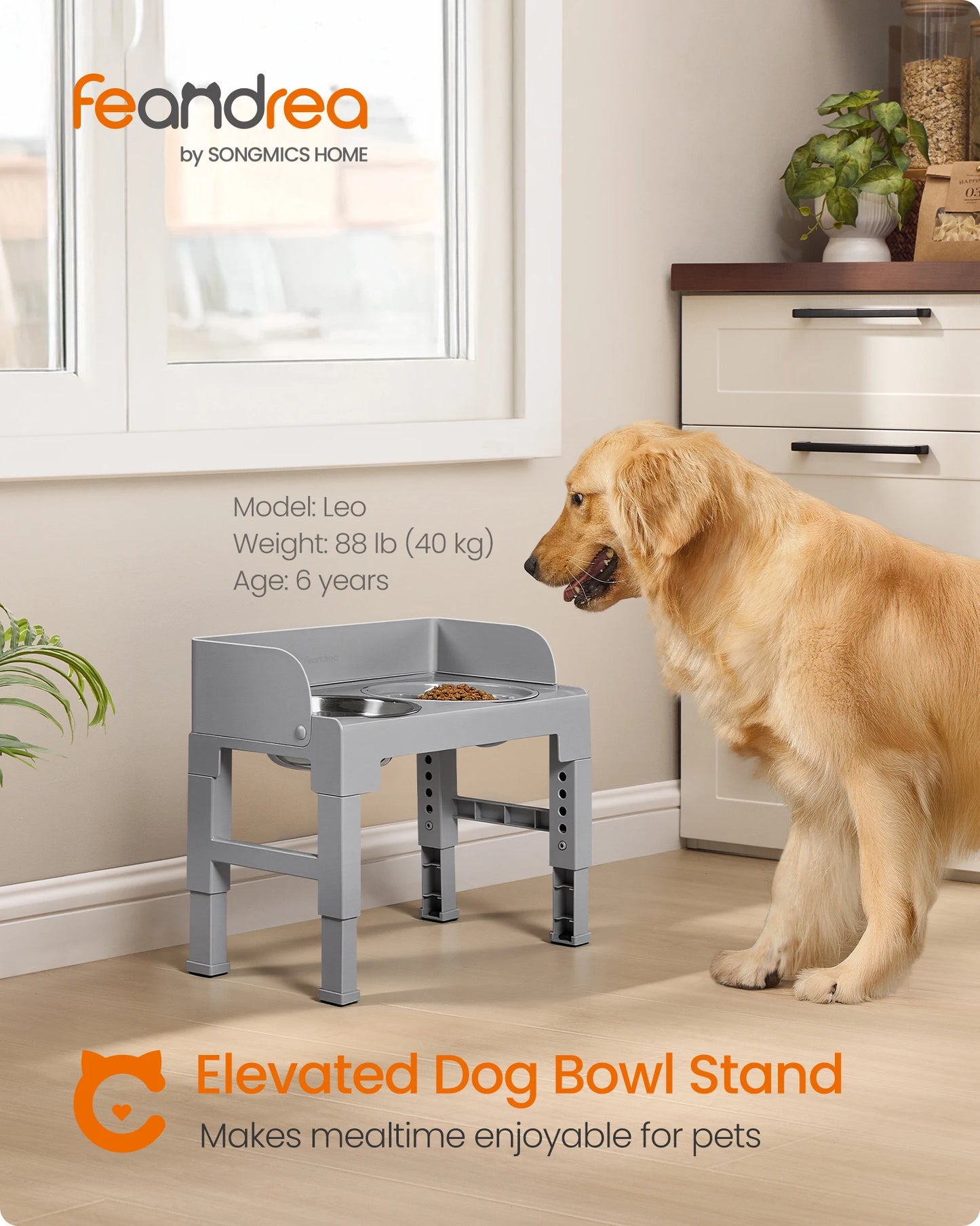Feandrea Elevated Dog Bowls Stand With Slow Feeder