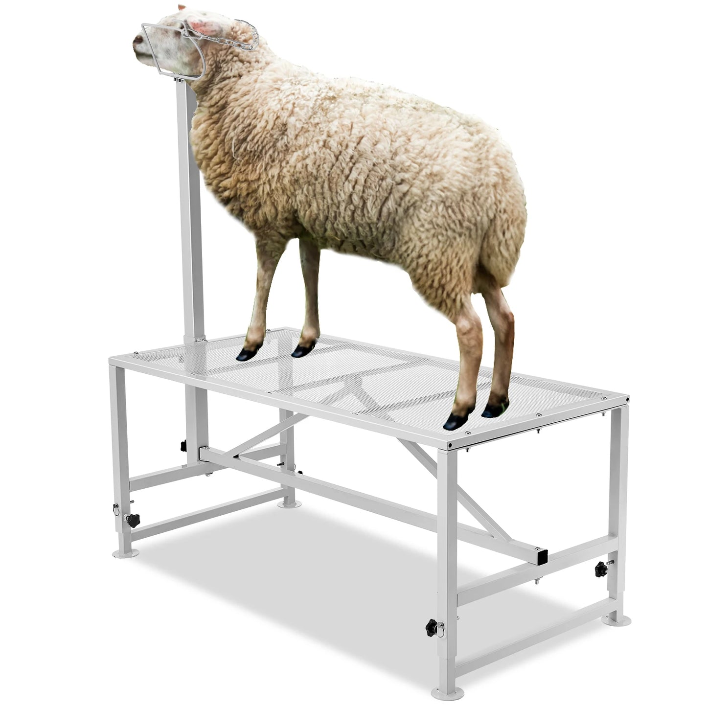 SucceBuy Goat Sheep Milking and Shearing Stand Adjustable Height