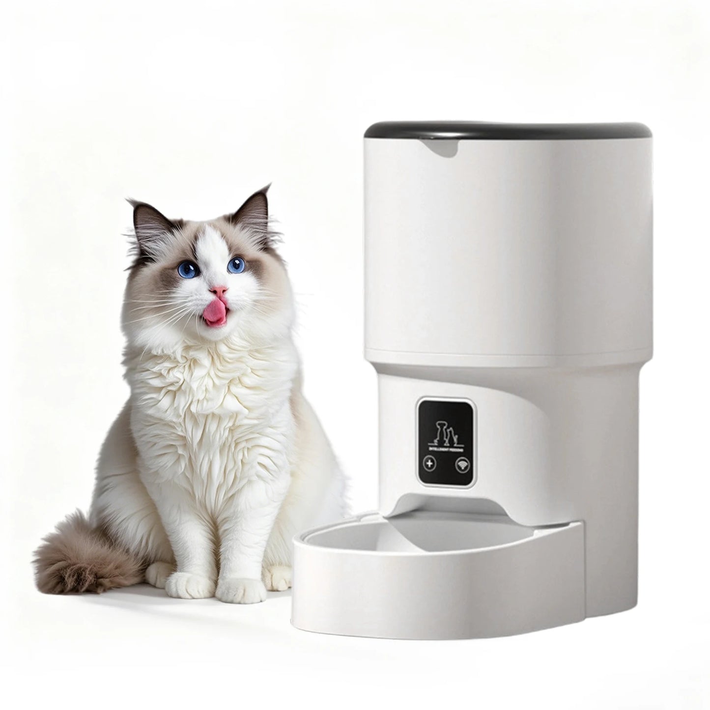 HiMISS Programmable Pet Feeder With Timer For Cats And Dogs
