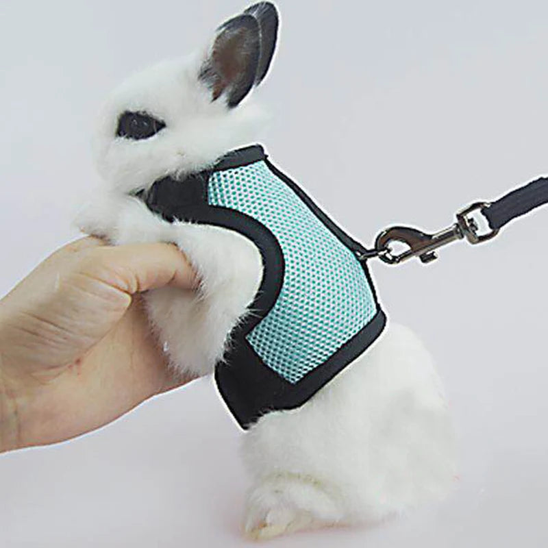 Summer Pet Harness Leash For Small Animals Breathable Mesh