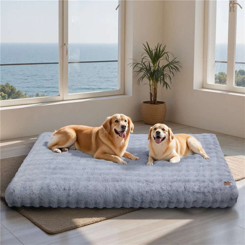 Borwart Ultra Plush Dog Bed Washable Pet Cushion Removable Cover
