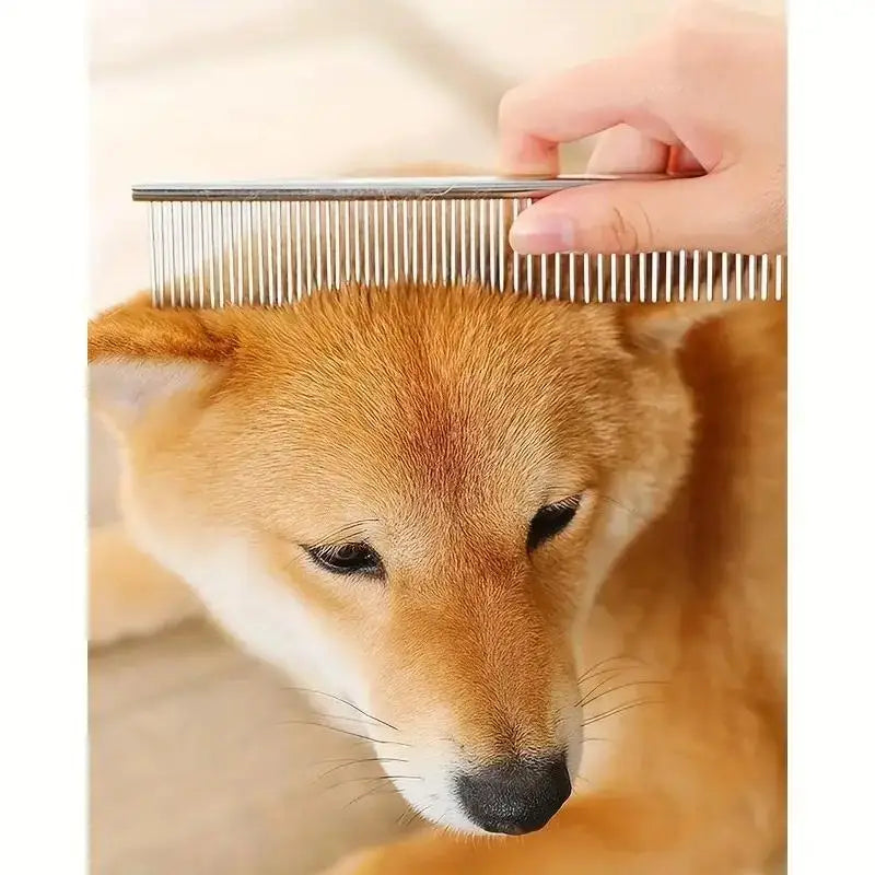 Ambidextrous Stainless Steel Dog Grooming Scissors For Safe Trimming
