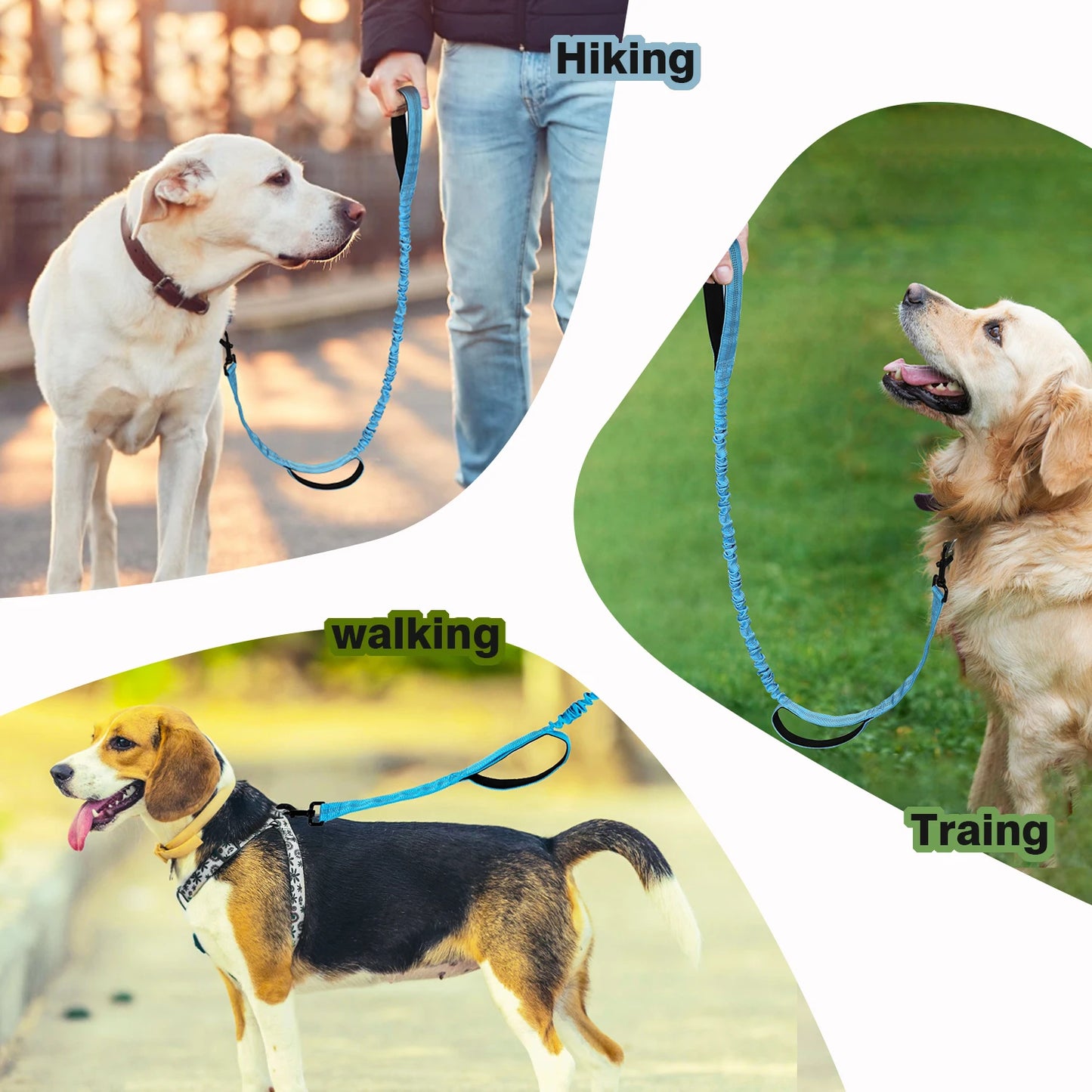Bungee Dog Leash With Shock Absorption And Dual Padded Handles