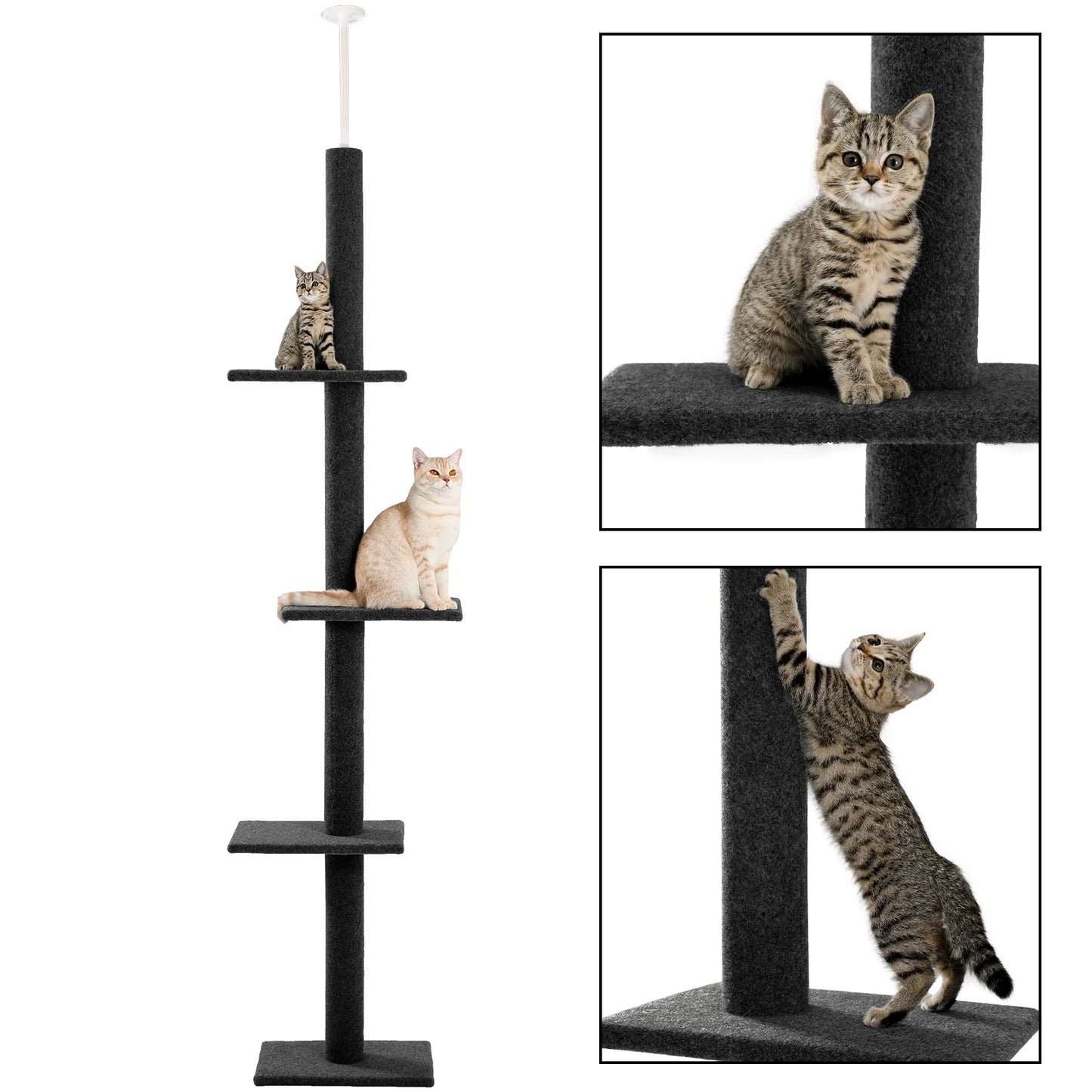 Pequlti Adjustable Height Cat Tree Indoor Tower With Scratching Posts