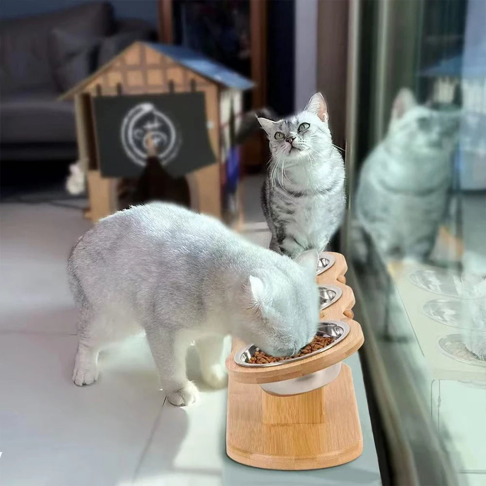 PETRAVEL Cat Food Feeder With 3 Bowls Tilted 15 Degree Raised