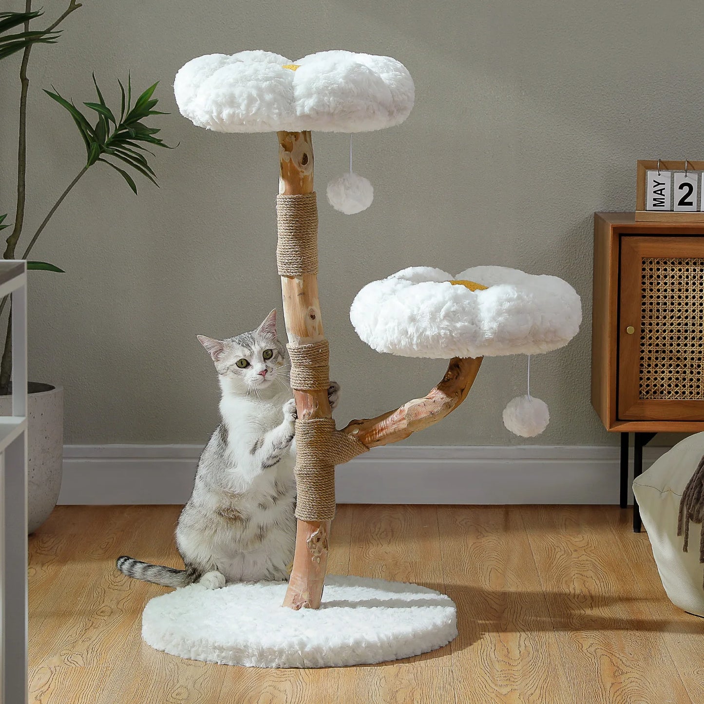 PEQULTI CN Solid Wood Cat Tree Tower With Spacious Condo