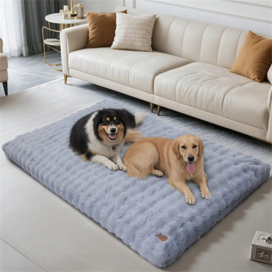 Borwart Ultra Plush Dog Bed Washable Pet Cushion Removable Cover